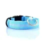 Світлодіодний LED нашийник No Brand Blue S 11900-69329