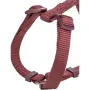 Шлей для собак Trixie Premium H-harness XS-S 30х44 см Бордовий (203231)