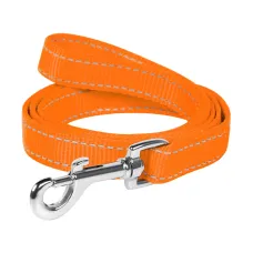 Поводок Collar Dog Extreme нейлоновый 200 см 25 мм Оранжевый (Collar04684) (16740)