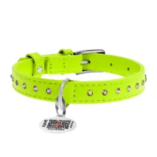 Нашийник для собак Collar WAUDOG Glamour шкіряний з QR паспортом 18-21 см Салатовий (Collar32505) (16952)