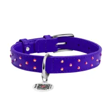 Нашийник для собак WAUDOG Glamour з QR паспортом 19-25 см Різнокольоровий (Collar32529)