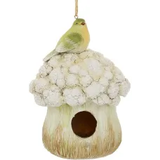 Інтер'єрна годівниця Bona Bird on Cabbage 19 см Різнокольоровий (261558) Інтер'єрна годівниця Bona Bird on Cabbage 19 см Різнокольоровий (261558)