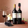 Набор вакуумных пробок для вина Cork 2 шт (H051393-2)