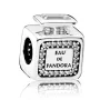 Срібний шарм No Brand 791889CZ (1341770497)