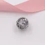Срібний шарм No Brand 797047CZ (1341770531)