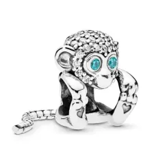 Срібний шарм No Brand 798054CZ (1341771305)