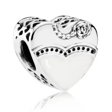 Серебряный шарм No Brand 791840ENMX (1341771358)