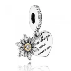 Срібний шарм No Brand 792012CZ