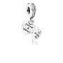 Срібний шарм No Brand 791524CZ