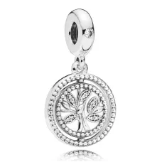 Срібний шарм No Brand 797786CZ