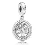 Срібний шарм No Brand 797786CZ