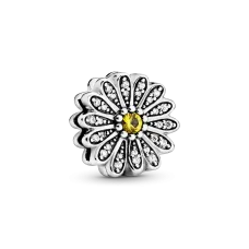 Серебряный шарм No Brand Сверкающая маргаритка 798766C01 (1341785634) Серебряный шарм No Brand Сверкающая маргаритка 798766C01 (1341785634)