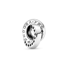 Срібний шарм No Brand 799035C00 (1341787946)
