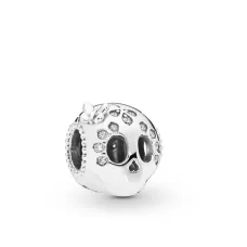 Серебряный шарм No Brand Сияющий череп 797866CZ (1341787953)