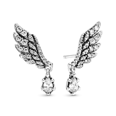 Серебряные серьги No Brand Крылья Ангела 298493C01 (1341787994)