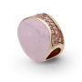Срібний шарм No Brand Рожевий завиток 789306C01 (1358706558)