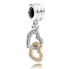 Срібний шарм No Brand 792068CZ