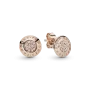 Серебряные серьги No Brand 280559CZ (1389863429)