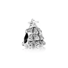 Срібний шарм No Brand 791239CZ