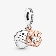 Серебряный шарм No Brand 789373C01