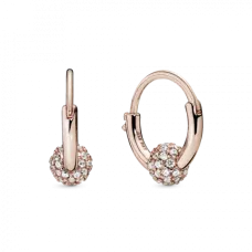 Срібні сережки No Brand Формула щастя 288294CZ (1434559145)