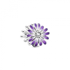 Срібний шарм No Brand 798775C02