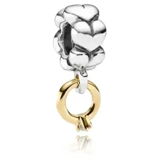 Серебряный шарм No Brand 790999D