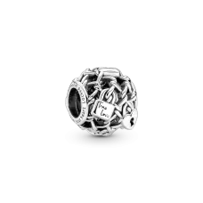 Серебряный шарм No Brand 790071C00
