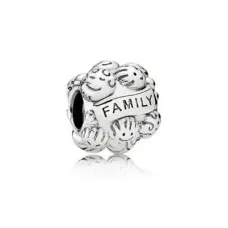 Серебряный шарм No Brand Семья 791039