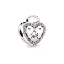 Серебряный шарм No Brand 796556FPC