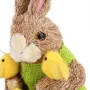 Інтер'єрна фігурка Sabefet Rabbit with chickens 21x16 см Бежевий (261857)