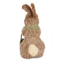Інтер'єрна фігурка Sabefet Rabbit with chickens 25x12 см Бежевий (261858)