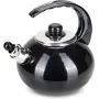 Чайник для плити Boiling Water 2,5л black Kamille DP262127