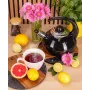 Чайник для плити Boiling Water 2,5л black Kamille DP262127