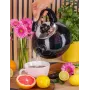 Чайник для плити Boiling Water 2,5л black Kamille DP262127