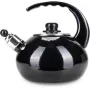 Чайник для плити Boiling Water 2,5л black Kamille DP262127