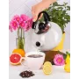 Чайник для плити Boiling Water 2,5л. Kamille DP262128