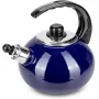 Чайник для плити Boiling Water 2,5л blue Kamille DP262129