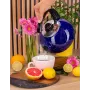 Чайник для плити Boiling Water 2,5л blue Kamille DP262129