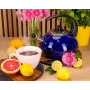 Чайник для плити Boiling Water 2,5л blue Kamille DP262129