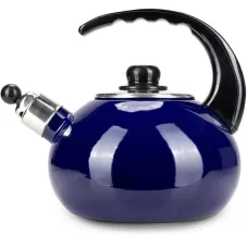 Чайник для плити Boiling Water 2,5л blue Kamille DP262129