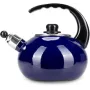 Чайник для плити Boiling Water 2,5л blue Kamille DP262129
