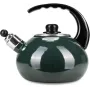 Чайник для плиты Boiling Water 2,5л green Kamille DP262130