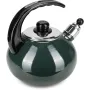Чайник для плиты Boiling Water 2,5л green Kamille DP262130