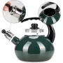 Чайник для плиты Boiling Water 2,5л green Kamille DP262130