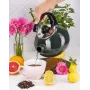 Чайник для плиты Boiling Water 2,5л green Kamille DP262130