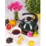 Чайник для плиты Boiling Water 2,5л green Kamille DP262130