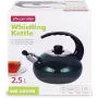 Чайник для плиты Boiling Water 2,5л green Kamille DP262130