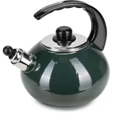 Чайник для плити Boiling Water 2,5л green Kamille DP262130
