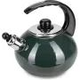 Чайник для плиты Boiling Water 2,5л green Kamille DP262130